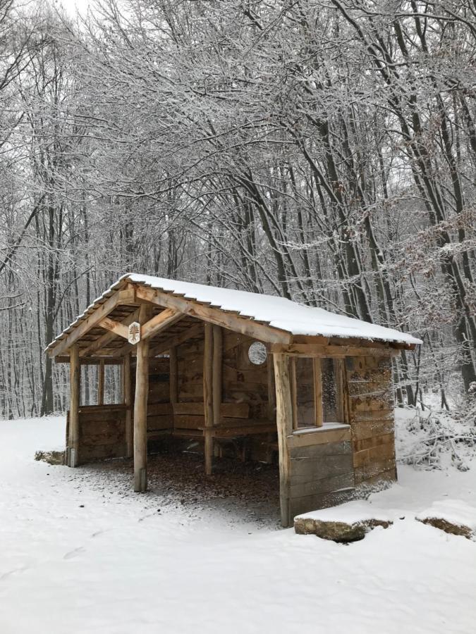 Ferienwohnung Auszeit Am Kurpark Bad Berka - Balkon - Ruhige Lage- Gratis Parkplatz & Wlan Екстериор снимка